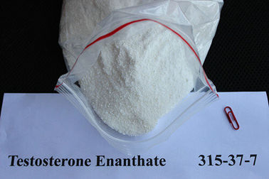 China Matéria prima farmacêutica CAS 315-37-7 dos esteróides de Enanthate da testosterona anabólica segura fornecedor