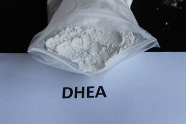 China O esteróide cru antienvelhecimento de Dehydroepiandrosterone/DHEA pulveriza matérias primas farmacêuticas fornecedor