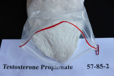 China Pó legal natural dos esteróides da construção do músculo do Propionate 57-85-2 da testosterona para homens fornecedor